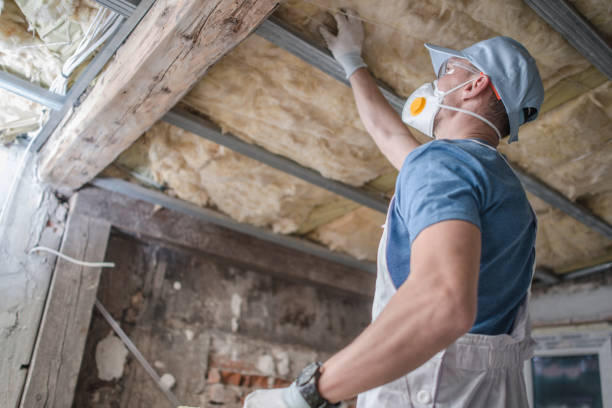 Best Insulation Maintenance and Repair in Idyllwild Pine Cove, CA